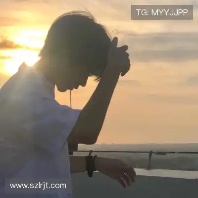 朱蓉维